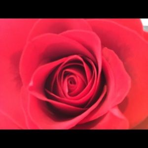 Meet your Posher, Jaiden